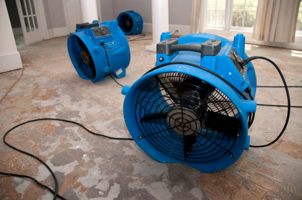 Best Fire Damage Restoration  in Cross Plains, TN