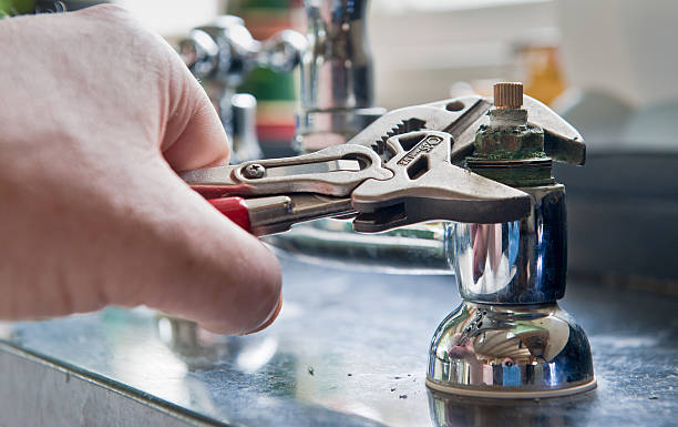 Best Ceiling water damage repair  in Cross Plains, TN